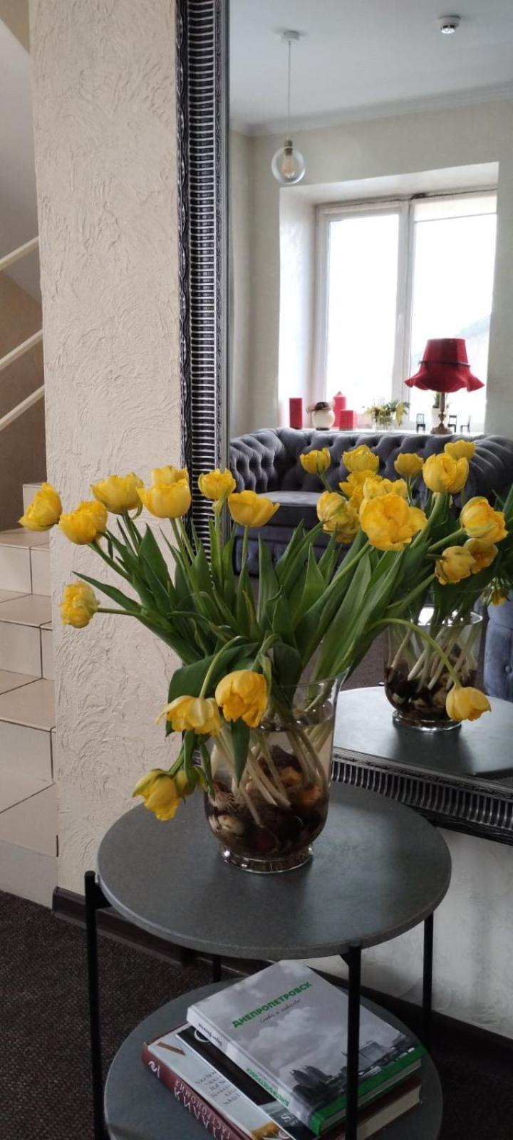 Шляпа Otel Dnipro Dış mekan fotoğraf