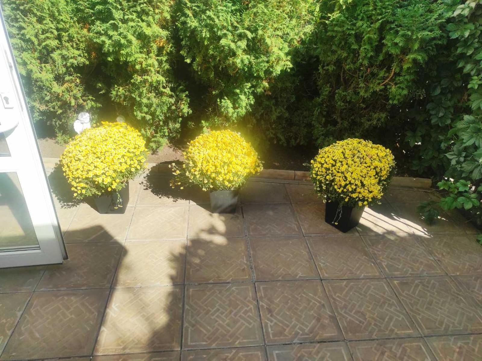Шляпа Otel Dnipro Dış mekan fotoğraf